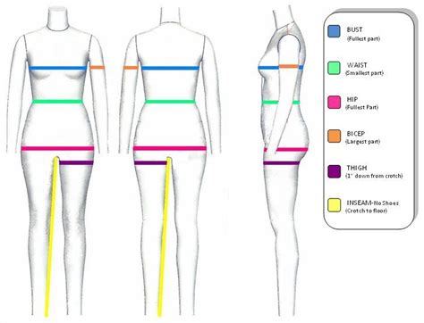 most desired chest waist thigh measurements for thicker women|how to measure women's body.